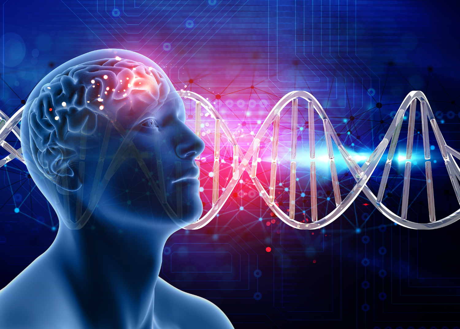 improve your cognition with NAD
